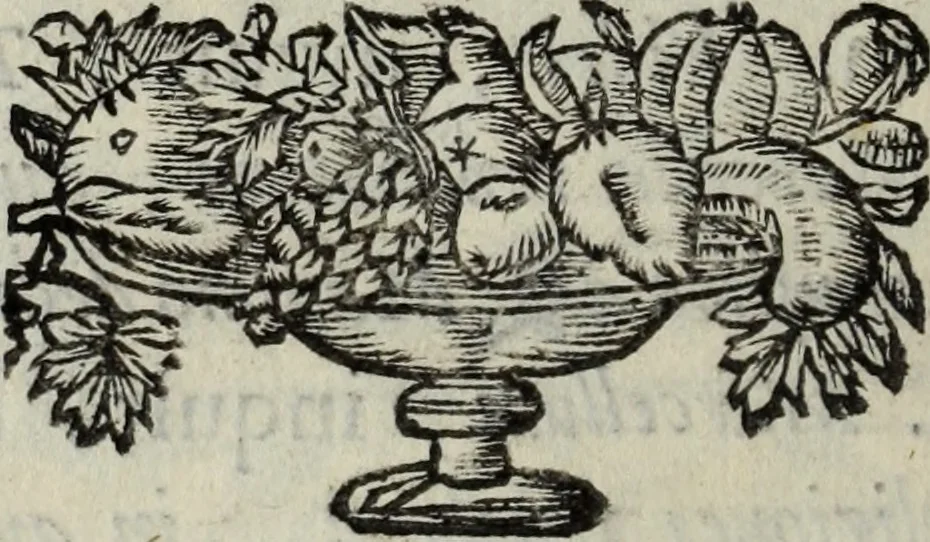 An illustration from Abrahami Ortelii, cosmographi et geographi regii, Deorum dearumque capita, ex antiquis numismatibus collecta, 1683, leaf 137