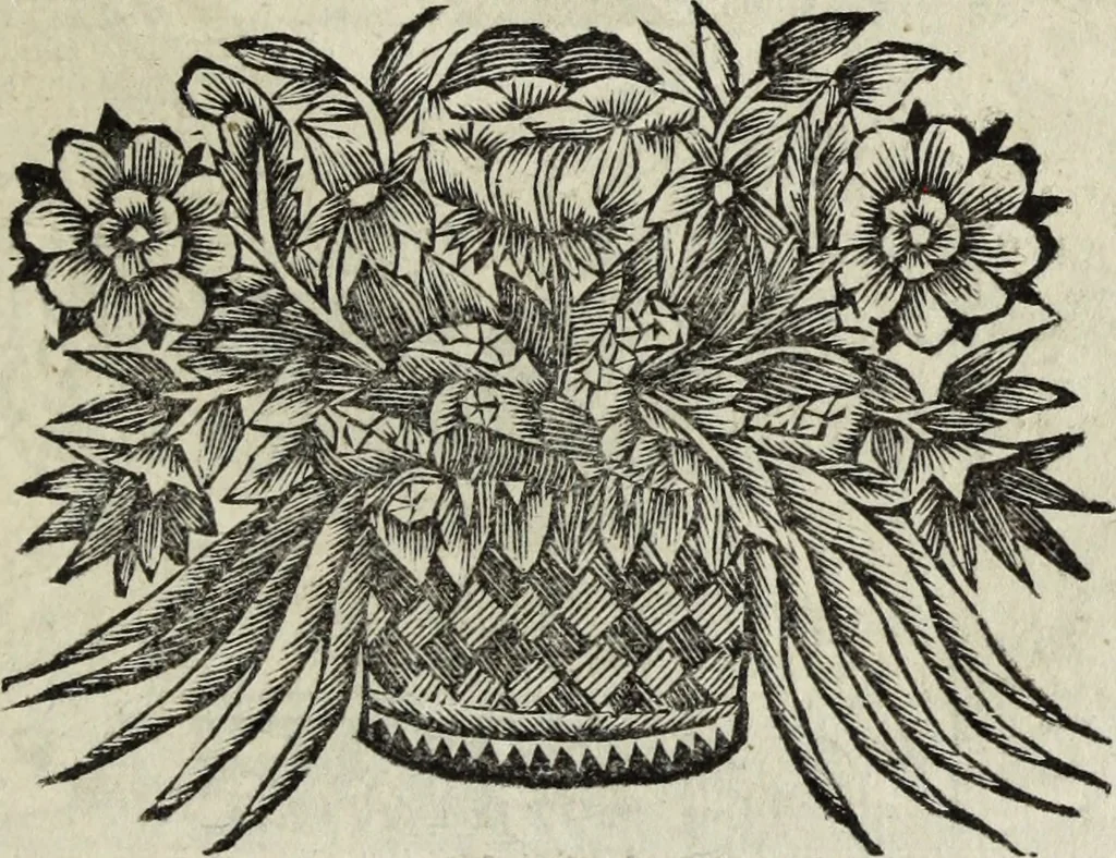 An illustration from Abrahami Ortelii, cosmographi et geographi regii, Deorum dearumque capita, ex antiquis numismatibus collecta, 1683, leaf 140