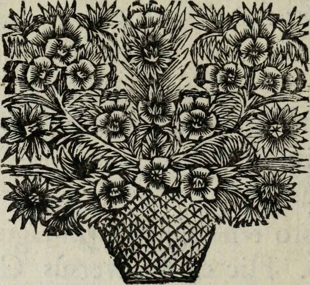 An illustration from Abrahami Ortelii, cosmographi et geographi regii, Deorum dearumque capita, ex antiquis numismatibus collecta, 1683, leaf 183