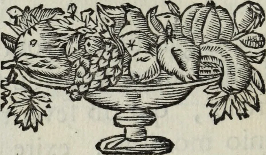 An illustration from Abrahami Ortelii, cosmographi et geographi regii, Deorum dearumque capita, ex antiquis numismatibus collecta, 1683, leaf 189