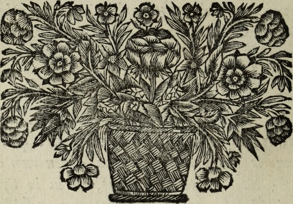 An illustration from Abrahami Ortelii, cosmographi et geographi regii, Deorum dearumque capita, ex antiquis numismatibus collecta, 1683, leaf 35