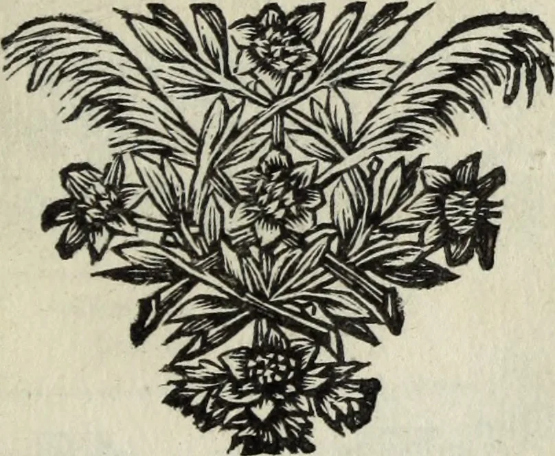An illustration from Abrahami Ortelii, cosmographi et geographi regii, Deorum dearumque capita, ex antiquis numismatibus collecta, 1683, leaf 38