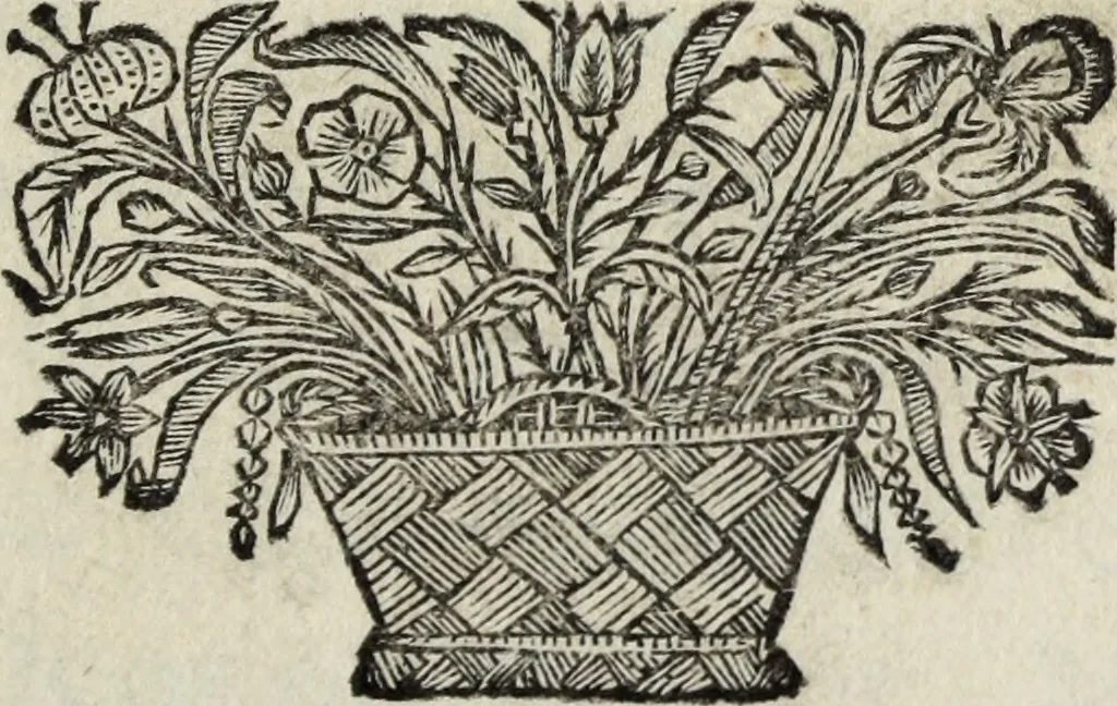 An illustration from Abrahami Ortelii, cosmographi et geographi regii, Deorum dearumque capita, ex antiquis numismatibus collecta, 1683, leaf 4