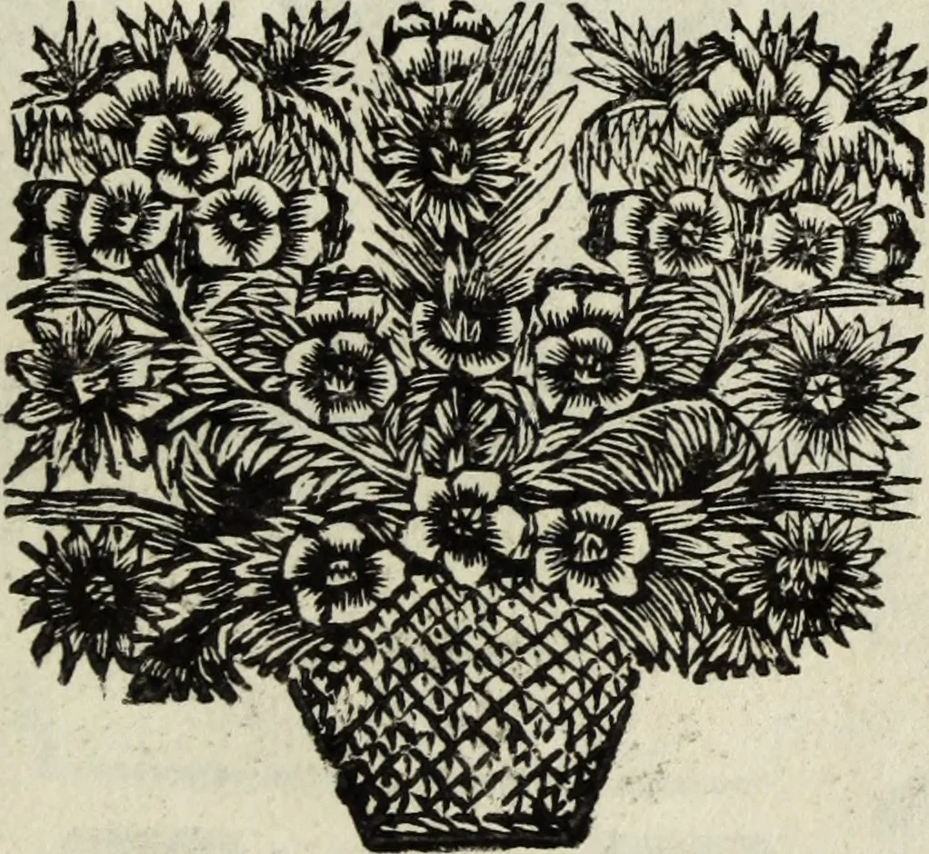 An illustration from Abrahami Ortelii, cosmographi et geographi regii, Deorum dearumque capita, ex antiquis numismatibus collecta, 1683, leaf 48