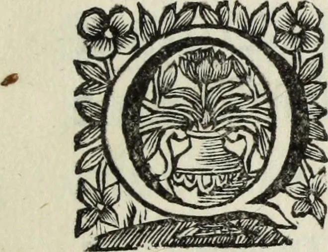 An illustration from Abrahami Ortelii, cosmographi et geographi regii, Deorum dearumque capita, ex antiquis numismatibus collecta, 1683, leaf 6