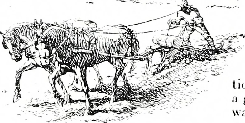 An illustration from Abraham Lincoln's vocations, 1849, leaf 11