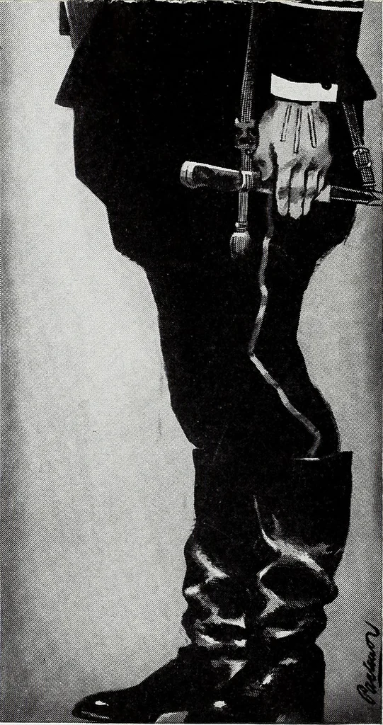 An illustration from Abraham Lincoln's appearance, 1860, leaf 13