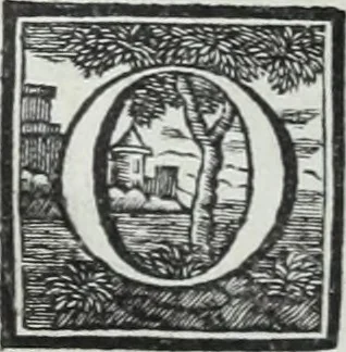 An illustration from Abregé de la vie des fameux peintres : avec leurs portraits gravés en taille-douce, les indications de leurs principaux ouvrages, quelques réflexions sur leurs caractéres, et la maniere de connoître les desseins des grands maîtres, 1745, leaf 113
