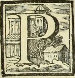 An illustration from Abregé de la vie des fameux peintres : avec leurs portraits gravés en taille-douce, les indications de leurs principaux ouvrages, quelques réflexions sur leurs caractéres, et la maniere de connoître les desseins des grands maîtres, 1745, leaf 116