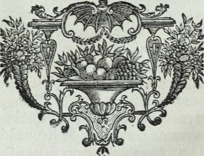 An illustration from Abregé de la vie des fameux peintres : avec leurs portraits gravés en taille-douce, les indications de leurs principaux ouvrages, quelques réflexions sur leurs caractéres, et la maniere de connoître les desseins des grands maîtres, 1745, leaf 133