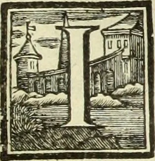 An illustration from Abregé de la vie des fameux peintres : avec leurs portraits gravés en taille-douce, les indications de leurs principaux ouvrages, quelques réflexions sur leurs caractéres, et la maniere de connoître les desseins des grands maîtres, 1745, leaf 134