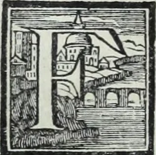 An illustration from Abregé de la vie des fameux peintres : avec leurs portraits gravés en taille-douce, les indications de leurs principaux ouvrages, quelques réflexions sur leurs caractéres, et la maniere de connoître les desseins des grands maîtres, 1745, leaf 141