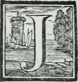 An illustration from Abregé de la vie des fameux peintres : avec leurs portraits gravés en taille-douce, les indications de leurs principaux ouvrages, quelques réflexions sur leurs caractéres, et la maniere de connoître les desseins des grands maîtres, 1745, leaf 157