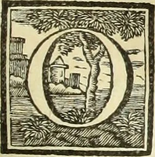 An illustration from Abregé de la vie des fameux peintres : avec leurs portraits gravés en taille-douce, les indications de leurs principaux ouvrages, quelques réflexions sur leurs caractéres, et la maniere de connoître les desseins des grands maîtres, 1745, leaf 204