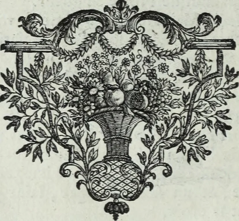 An illustration from Abregé de la vie des fameux peintres : avec leurs portraits gravés en taille-douce, les indications de leurs principaux ouvrages, quelques réflexions sur leurs caractéres, et la maniere de connoître les desseins des grands maîtres, 1745, leaf 221