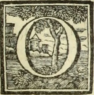 An illustration from Abregé de la vie des fameux peintres : avec leurs portraits gravés en taille-douce, les indications de leurs principaux ouvrages, quelques réflexions sur leurs caractéres, et la maniere de connoître les desseins des grands maîtres, 1745, leaf 230