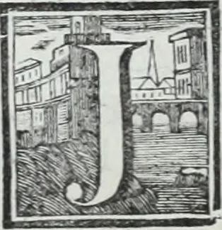An illustration from Abregé de la vie des fameux peintres : avec leurs portraits gravés en taille-douce, les indications de leurs principaux ouvrages, quelques réflexions sur leurs caractéres, et la maniere de connoître les desseins des grands maîtres, 1745, leaf 233