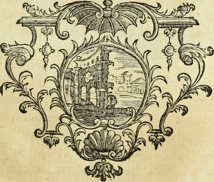 An illustration from Abregé de la vie des fameux peintres : avec leurs portraits gravés en taille-douce, les indications de leurs principaux ouvrages, quelques réflexions sur leurs caractéres, et la maniere de connoître les desseins des grands maîtres, 1745, leaf 236