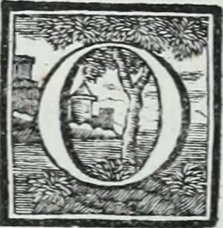 An illustration from Abregé de la vie des fameux peintres : avec leurs portraits gravés en taille-douce, les indications de leurs principaux ouvrages, quelques réflexions sur leurs caractéres, et la maniere de connoître les desseins des grands maîtres, 1745, leaf 251