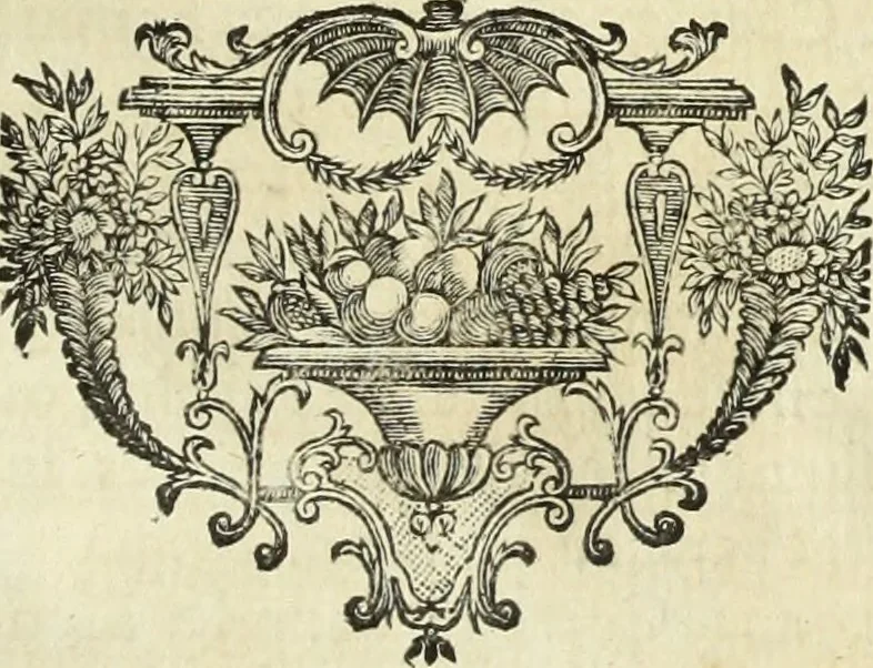 An illustration from Abregé de la vie des fameux peintres : avec leurs portraits gravés en taille-douce, les indications de leurs principaux ouvrages, quelques réflexions sur leurs caractéres, et la maniere de connoître les desseins des grands maîtres, 1745, leaf 262