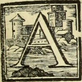 An illustration from Abregé de la vie des fameux peintres : avec leurs portraits gravés en taille-douce, les indications de leurs principaux ouvrages, quelques réflexions sur leurs caractéres, et la maniere de connoître les desseins des grands maîtres, 1745, leaf 304