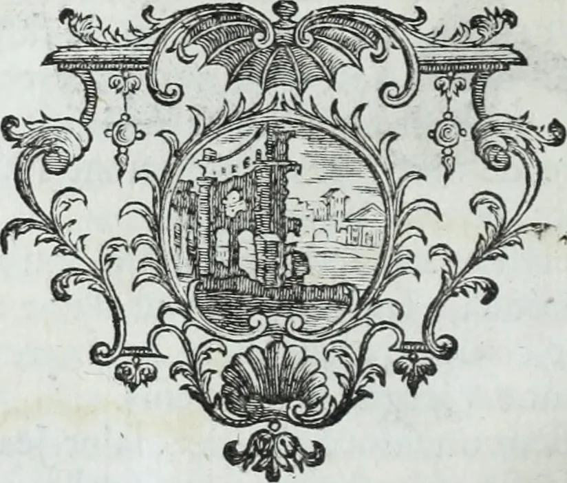 An illustration from Abregé de la vie des fameux peintres : avec leurs portraits gravés en taille-douce, les indications de leurs principaux ouvrages, quelques réflexions sur leurs caractéres, et la maniere de connoître les desseins des grands maîtres, 1745, leaf 311