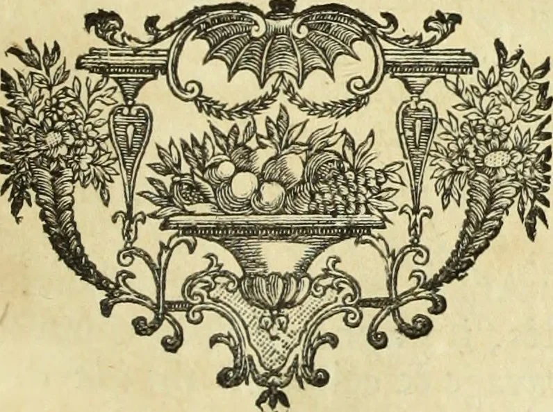 An illustration from Abregé de la vie des fameux peintres : avec leurs portraits gravés en taille-douce, les indications de leurs principaux ouvrages, quelques réflexions sur leurs caractéres, et la maniere de connoître les desseins des grands maîtres, 1745, leaf 314