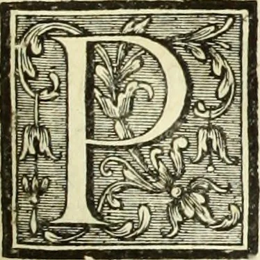 An illustration from Abregé de la vie des fameux peintres : avec leurs portraits gravés en taille-douce, les indications de leurs principaux ouvrages, quelques réflexions sur leurs caractéres, et la maniere de connoître les desseins des grands maîtres, 1745, leaf 322