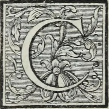 An illustration from Abregé de la vie des fameux peintres : avec leurs portraits gravés en taille-douce, les indications de leurs principaux ouvrages, quelques réflexions sur leurs caractéres, et la maniere de connoître les desseins des grands maîtres, 1745, leaf 379