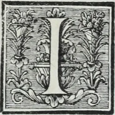An illustration from Abregé de la vie des fameux peintres : avec leurs portraits gravés en taille-douce, les indications de leurs principaux ouvrages, quelques réflexions sur leurs caractéres, et la maniere de connoître les desseins des grands maîtres, 1745, leaf 407
