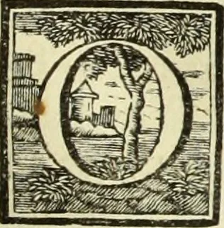 An illustration from Abregé de la vie des fameux peintres : avec leurs portraits gravés en taille-douce, les indications de leurs principaux ouvrages, quelques réflexions sur leurs caractéres, et la maniere de connoître les desseins des grands maîtres, 1745, leaf 424