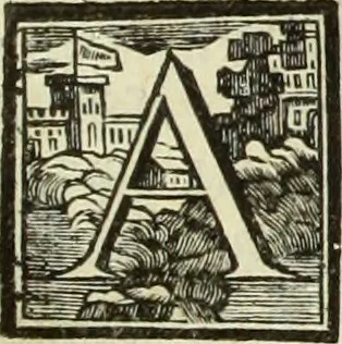 An illustration from Abregé de la vie des fameux peintres : avec leurs portraits gravés en taille-douce, les indications de leurs principaux ouvrages, quelques réflexions sur leurs caractéres, et la maniere de connoître les desseins des grands maîtres, 1745, leaf 110