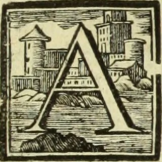 An illustration from Abregé de la vie des fameux peintres : avec leurs portraits gravés en taille-douce, les indications de leurs principaux ouvrages, quelques réflexions sur leurs caractéres, et la maniere de connoître les desseins des grands maîtres, 1745, leaf 116