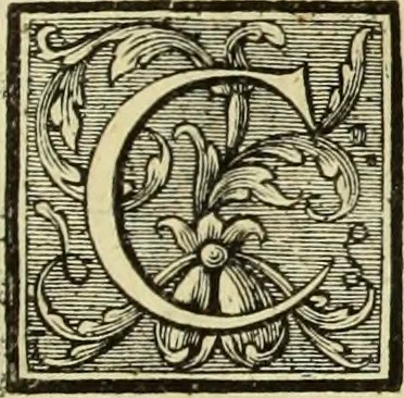 An illustration from Abregé de la vie des fameux peintres : avec leurs portraits gravés en taille-douce, les indications de leurs principaux ouvrages, quelques réflexions sur leurs caractéres, et la maniere de connoître les desseins des grands maîtres, 1745, leaf 122