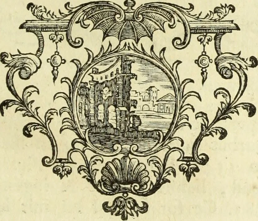An illustration from Abregé de la vie des fameux peintres : avec leurs portraits gravés en taille-douce, les indications de leurs principaux ouvrages, quelques réflexions sur leurs caractéres, et la maniere de connoître les desseins des grands maîtres, 1745, leaf 132