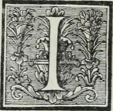 An illustration from Abregé de la vie des fameux peintres : avec leurs portraits gravés en taille-douce, les indications de leurs principaux ouvrages, quelques réflexions sur leurs caractéres, et la maniere de connoître les desseins des grands maîtres, 1745, leaf 165