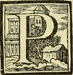 An illustration from Abregé de la vie des fameux peintres : avec leurs portraits gravés en taille-douce, les indications de leurs principaux ouvrages, quelques réflexions sur leurs caractéres, et la maniere de connoître les desseins des grands maîtres, 1745, leaf 176