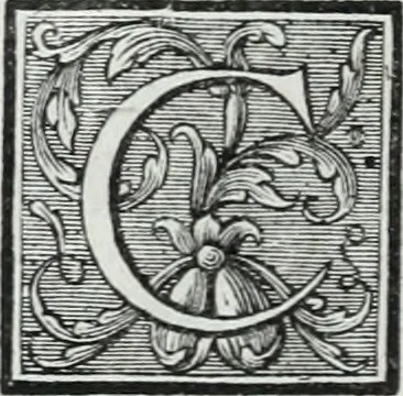 An illustration from Abregé de la vie des fameux peintres : avec leurs portraits gravés en taille-douce, les indications de leurs principaux ouvrages, quelques réflexions sur leurs caractéres, et la maniere de connoître les desseins des grands maîtres, 1745, leaf 213