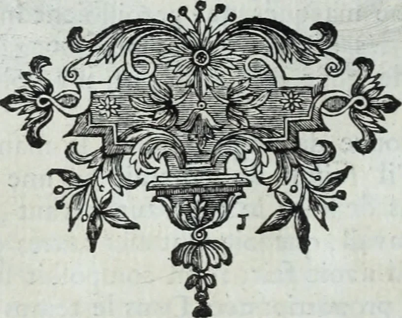 An illustration from Abregé de la vie des fameux peintres : avec leurs portraits gravés en taille-douce, les indications de leurs principaux ouvrages, quelques réflexions sur leurs caractéres, et la maniere de connoître les desseins des grands maîtres, 1745, leaf 253