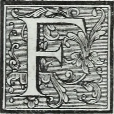 An illustration from Abregé de la vie des fameux peintres : avec leurs portraits gravés en taille-douce, les indications de leurs principaux ouvrages, quelques réflexions sur leurs caractéres, et la maniere de connoître les desseins des grands maîtres, 1745, leaf 259