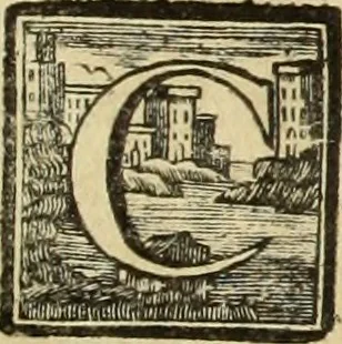 An illustration from Abregé de la vie des fameux peintres : avec leurs portraits gravés en taille-douce, les indications de leurs principaux ouvrages, quelques réflexions sur leurs caractéres, et la maniere de connoître les desseins des grands maîtres, 1745, leaf 28