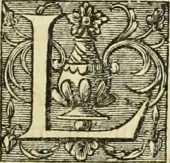 An illustration from Abregé de la vie des fameux peintres : avec leurs portraits gravés en taille-douce, les indications de leurs principaux ouvrages, quelques réflexions sur leurs caractéres, et la maniere de connoître les desseins des grands maîtres, 1745, leaf 306