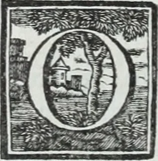 An illustration from Abregé de la vie des fameux peintres : avec leurs portraits gravés en taille-douce, les indications de leurs principaux ouvrages, quelques réflexions sur leurs caractéres, et la maniere de connoître les desseins des grands maîtres, 1745, leaf 313