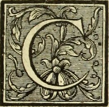 An illustration from Abregé de la vie des fameux peintres : avec leurs portraits gravés en taille-douce, les indications de leurs principaux ouvrages, quelques réflexions sur leurs caractéres, et la maniere de connoître les desseins des grands maîtres, 1745, leaf 332