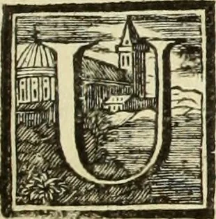 An illustration from Abregé de la vie des fameux peintres : avec leurs portraits gravés en taille-douce, les indications de leurs principaux ouvrages, quelques réflexions sur leurs caractéres, et la maniere de connoître les desseins des grands maîtres, 1745, leaf 350