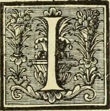 An illustration from Abregé de la vie des fameux peintres : avec leurs portraits gravés en taille-douce, les indications de leurs principaux ouvrages, quelques réflexions sur leurs caractéres, et la maniere de connoître les desseins des grands maîtres, 1745, leaf 384