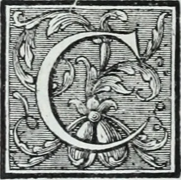 An illustration from Abregé de la vie des fameux peintres : avec leurs portraits gravés en taille-douce, les indications de leurs principaux ouvrages, quelques réflexions sur leurs caractéres, et la maniere de connoître les desseins des grands maîtres, 1745, leaf 395