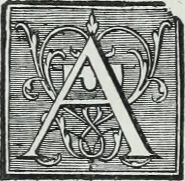 An illustration from Abregé de la vie des fameux peintres : avec leurs portraits gravés en taille-douce, les indications de leurs principaux ouvrages, quelques réflexions sur leurs caractéres, et la maniere de connoître les desseins des grands maîtres, 1745, leaf 415