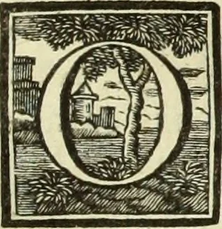 An illustration from Abregé de la vie des fameux peintres : avec leurs portraits gravés en taille-douce, les indications de leurs principaux ouvrages, quelques réflexions sur leurs caractéres, et la maniere de connoître les desseins des grands maîtres, 1745, leaf 46