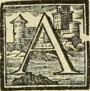 An illustration from Abregé de la vie des fameux peintres : avec leurs portraits gravés en taille-douce, les indications de leurs principaux ouvrages, quelques réflexions sur leurs caractéres, et la maniere de connoître les desseins des grands maîtres, 1745, leaf 50